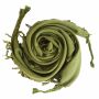 Cotton scarf fine & tightly woven - olive-green - with fringes - squared kerchief